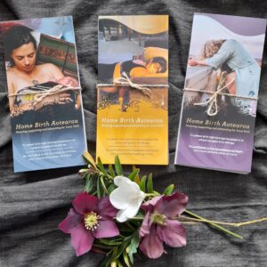 Home Birth Aotearoa Rack Cards